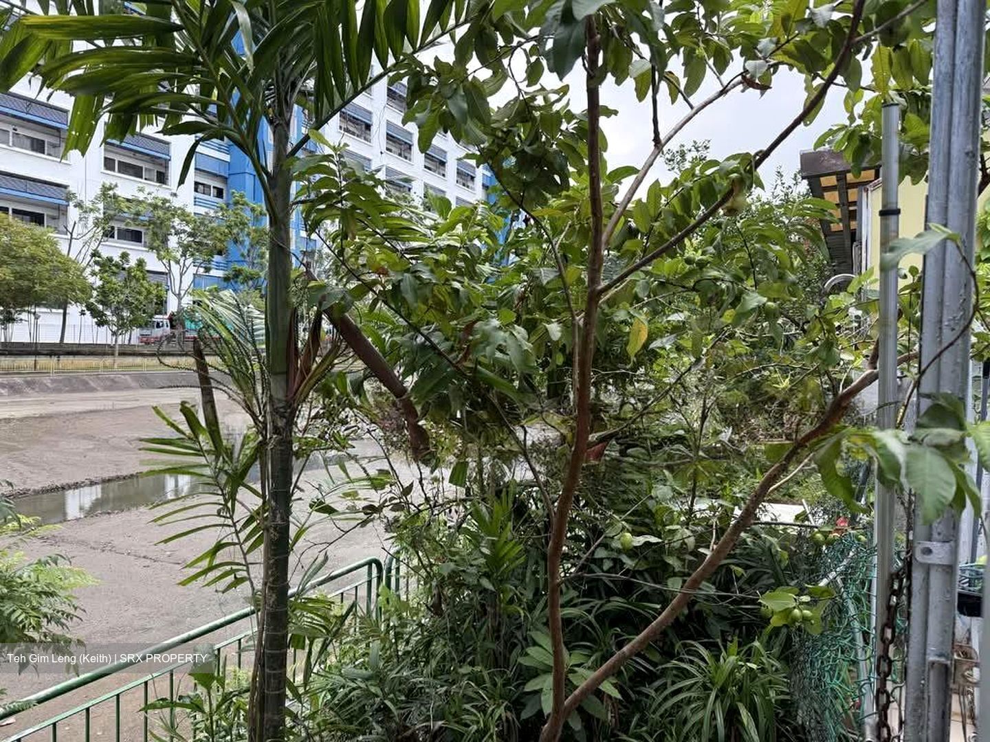 Bedok Road (D16), Semi-Detached #530225611